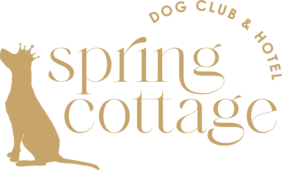 Spring Cottage Dog Club Hotel