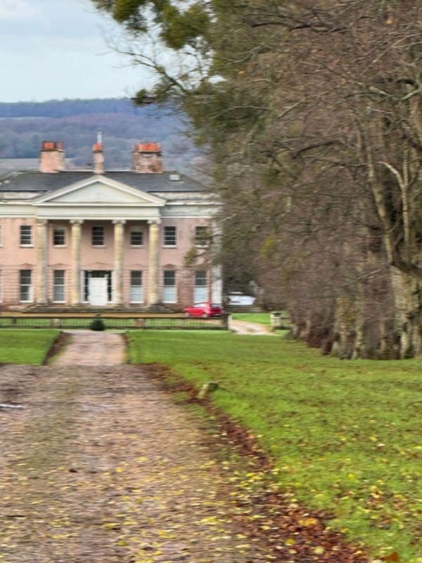 Spring Cottage Dog Club Hotel: Gallery