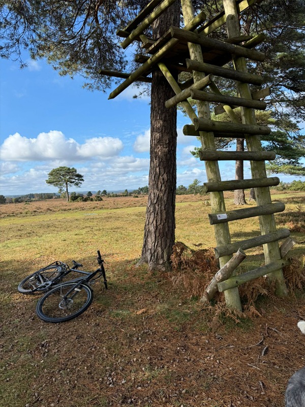 Spring Cottage Dog Club Hotel: Gallery